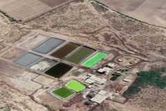 WhatsApp-Image-2021-07-16-at-7.33.59-PM